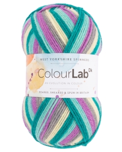 Colour Lab - Double Knit - 100% Yorkshire Wool- West Yorkshire Spinners (100g)